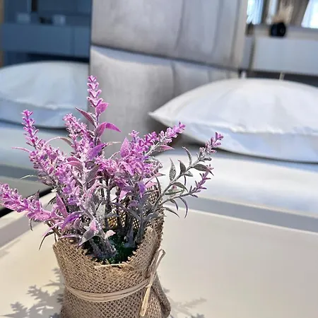 Frida Luxury Apartman Tirana